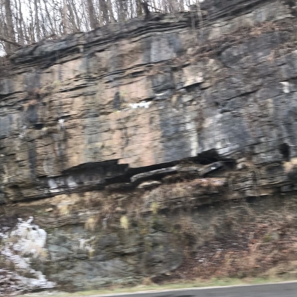 Meet your Posher, Lynn - Picture 1 of 1